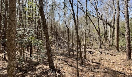 Photo #18 of SOLD property in Off Indian Neck Road, Newtown, VA 12.0 acres