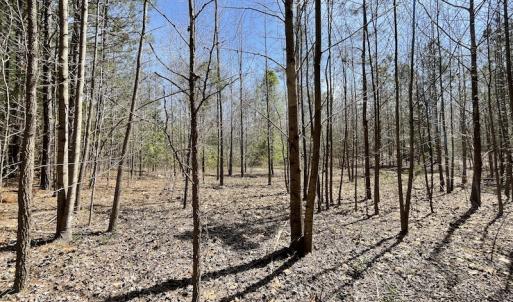 Photo #19 of SOLD property in Off Indian Neck Road, Newtown, VA 12.0 acres