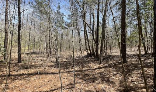 Photo #20 of SOLD property in Off Indian Neck Road, Newtown, VA 12.0 acres