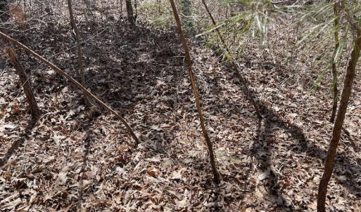 Photo #21 of SOLD property in Off Indian Neck Road, Newtown, VA 12.0 acres