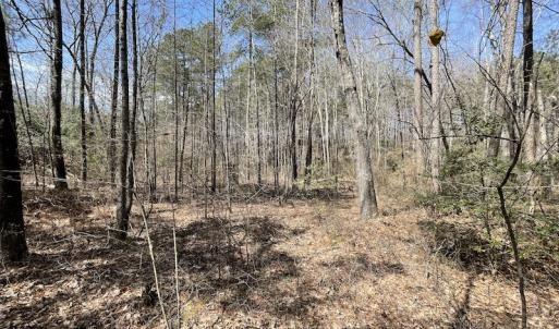Photo #24 of SOLD property in Off Indian Neck Road, Newtown, VA 12.0 acres