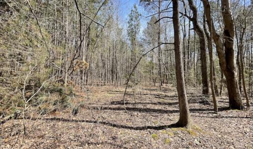Photo #25 of SOLD property in Off Indian Neck Road, Newtown, VA 12.0 acres