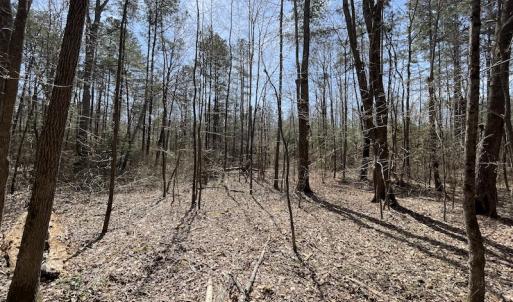 Photo #26 of SOLD property in Off Indian Neck Road, Newtown, VA 12.0 acres