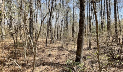 Photo #27 of SOLD property in Off Indian Neck Road, Newtown, VA 12.0 acres