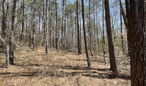 Photo #29 of SOLD property in Off Indian Neck Road, Newtown, VA 12.0 acres