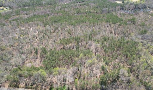 Photo #3 of SOLD property in Off Indian Neck Road, Newtown, VA 12.0 acres