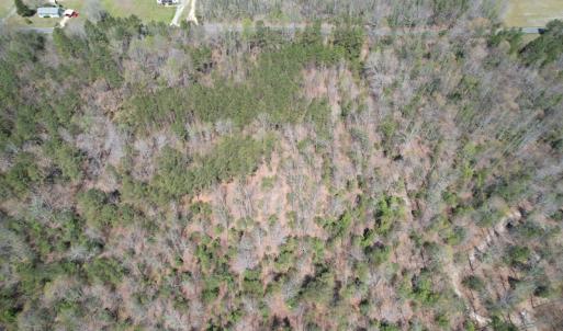 Photo #5 of SOLD property in Off Indian Neck Road, Newtown, VA 12.0 acres
