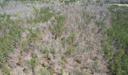 Photo #6 of SOLD property in Off Indian Neck Road, Newtown, VA 12.0 acres