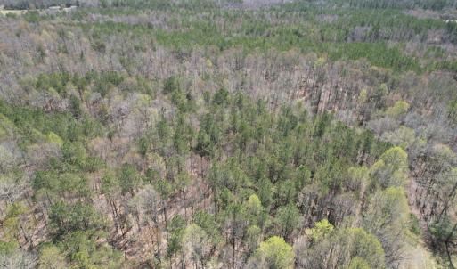 Photo #8 of SOLD property in Off Indian Neck Road, Newtown, VA 12.0 acres
