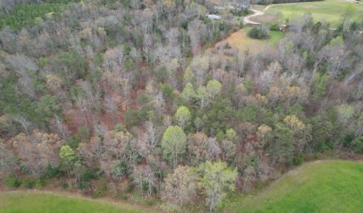 Photo #10 of SOLD property in Off Root Swamp Road, Milford, VA 6.5 acres