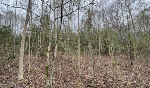 Photo #13 of SOLD property in Off Root Swamp Road, Milford, VA 6.5 acres