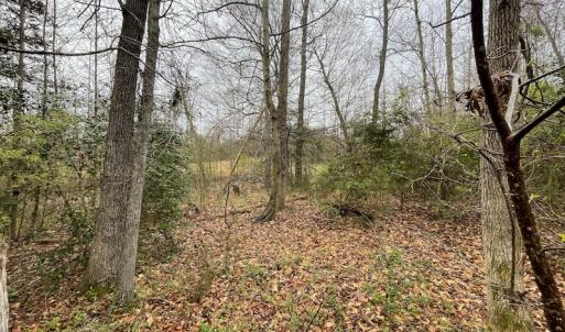 Photo #14 of SOLD property in Off Root Swamp Road, Milford, VA 6.5 acres