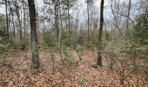 Photo #15 of SOLD property in Off Root Swamp Road, Milford, VA 6.5 acres