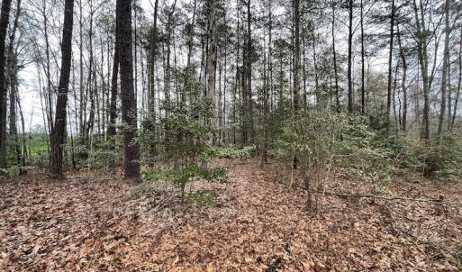 Photo #16 of SOLD property in Off Root Swamp Road, Milford, VA 6.5 acres
