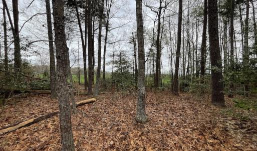 Photo #17 of SOLD property in Off Root Swamp Road, Milford, VA 6.5 acres