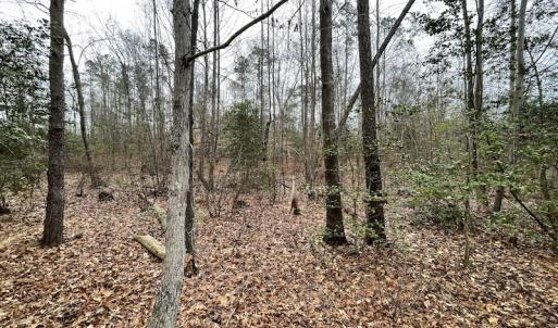 Photo #19 of SOLD property in Off Root Swamp Road, Milford, VA 6.5 acres