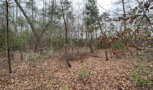 Photo #21 of SOLD property in Off Root Swamp Road, Milford, VA 6.5 acres