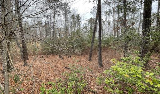 Photo #23 of SOLD property in Off Root Swamp Road, Milford, VA 6.5 acres