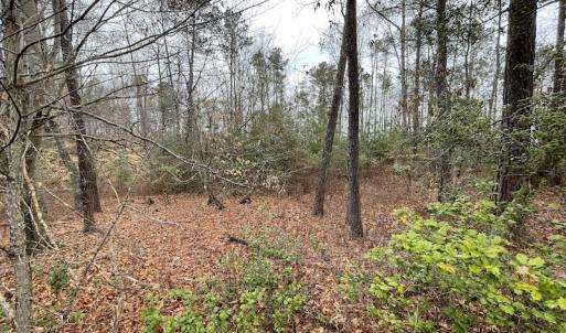 Photo #23 of SOLD property in Off Root Swamp Road, Milford, VA 6.5 acres