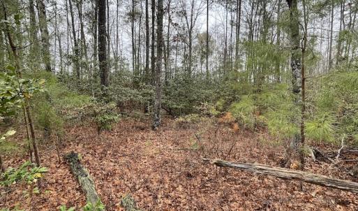 Photo #24 of SOLD property in Off Root Swamp Road, Milford, VA 6.5 acres