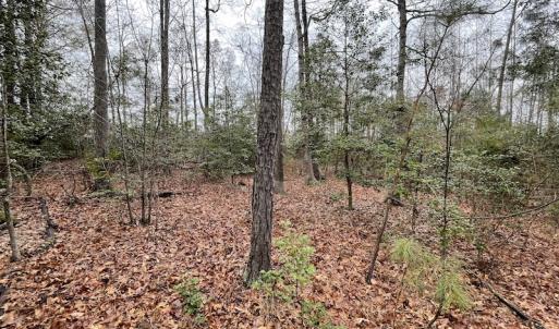 Photo #25 of SOLD property in Off Root Swamp Road, Milford, VA 6.5 acres