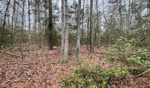 Photo #26 of SOLD property in Off Root Swamp Road, Milford, VA 6.5 acres
