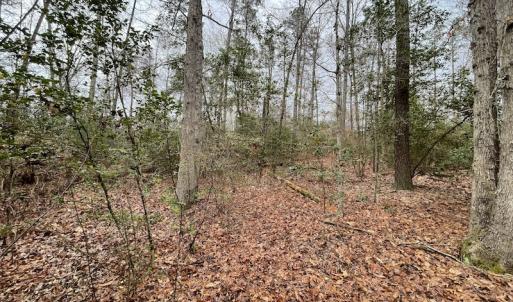 Photo #27 of SOLD property in Off Root Swamp Road, Milford, VA 6.5 acres