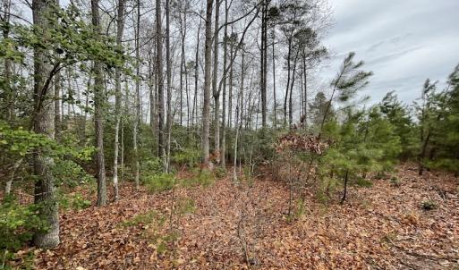 Photo #28 of SOLD property in Off Root Swamp Road, Milford, VA 6.5 acres