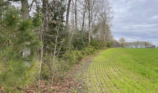 Photo #30 of SOLD property in Off Root Swamp Road, Milford, VA 6.5 acres