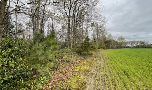 Photo #31 of SOLD property in Off Root Swamp Road, Milford, VA 6.5 acres