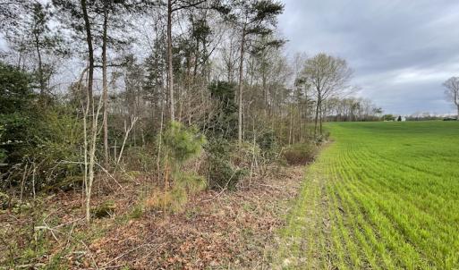 Photo #32 of SOLD property in Off Root Swamp Road, Milford, VA 6.5 acres