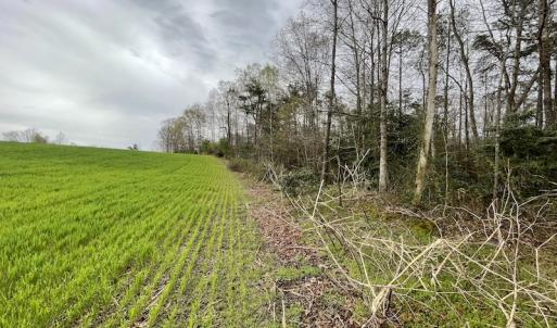Photo #33 of SOLD property in Off Root Swamp Road, Milford, VA 6.5 acres