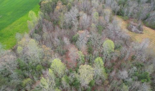 Photo #4 of SOLD property in Off Root Swamp Road, Milford, VA 6.5 acres