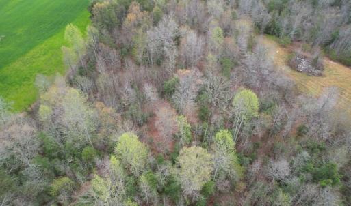 Photo #4 of SOLD property in Off Root Swamp Road, Milford, VA 6.5 acres
