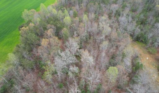 Photo #5 of SOLD property in Off Root Swamp Road, Milford, VA 6.5 acres