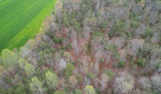 Photo #6 of SOLD property in Off Root Swamp Road, Milford, VA 6.5 acres