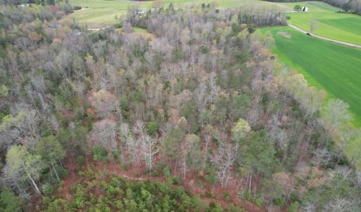 Photo #8 of SOLD property in Off Root Swamp Road, Milford, VA 6.5 acres