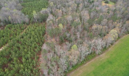 Photo #9 of SOLD property in Off Root Swamp Road, Milford, VA 6.5 acres