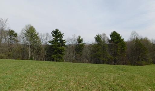Photo #6 of SOLD property in Off Sylvatus Hwy, Hillsville, VA 42.4 acres
