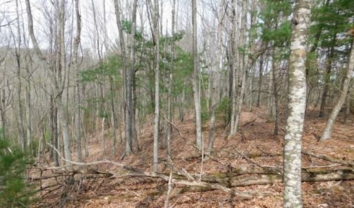 Photo #7 of SOLD property in Off Sylvatus Hwy, Hillsville, VA 42.4 acres