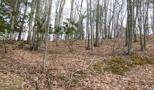 Photo #10 of SOLD property in Off Sylvatus Hwy, Hillsville, VA 42.4 acres