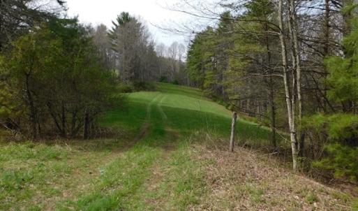 Photo #11 of SOLD property in Off Sylvatus Hwy, Hillsville, VA 42.4 acres