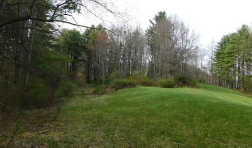 Photo #12 of SOLD property in Off Sylvatus Hwy, Hillsville, VA 42.4 acres