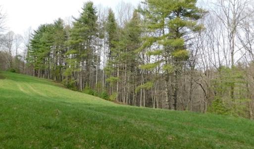 Photo #13 of SOLD property in Off Sylvatus Hwy, Hillsville, VA 42.4 acres