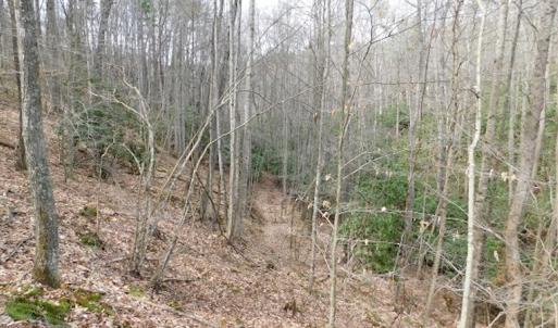 Photo #15 of SOLD property in Off Sylvatus Hwy, Hillsville, VA 42.4 acres