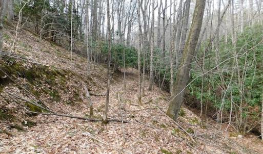 Photo #16 of SOLD property in Off Sylvatus Hwy, Hillsville, VA 42.4 acres