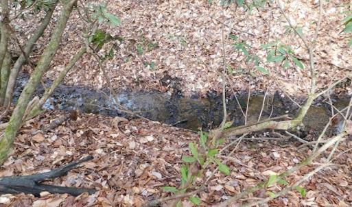 Photo #21 of SOLD property in Off Sylvatus Hwy, Hillsville, VA 42.4 acres