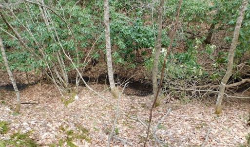 Photo #22 of SOLD property in Off Sylvatus Hwy, Hillsville, VA 42.4 acres