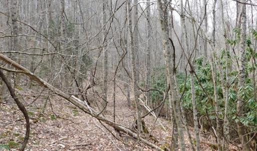 Photo #25 of SOLD property in Off Sylvatus Hwy, Hillsville, VA 42.4 acres