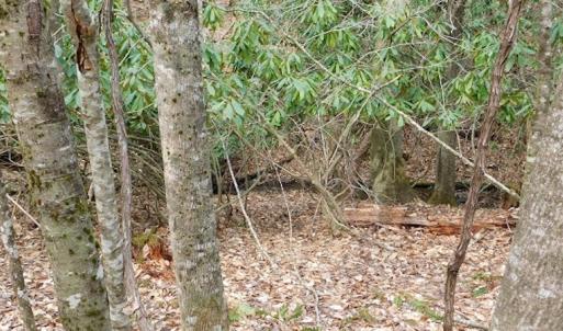 Photo #26 of SOLD property in Off Sylvatus Hwy, Hillsville, VA 42.4 acres